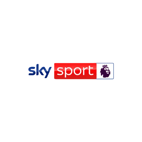 skylogo1